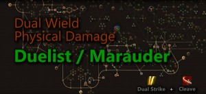 Dual Wield Physical Damage Duelist & Marauder Build