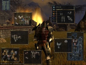 Darkfall interface