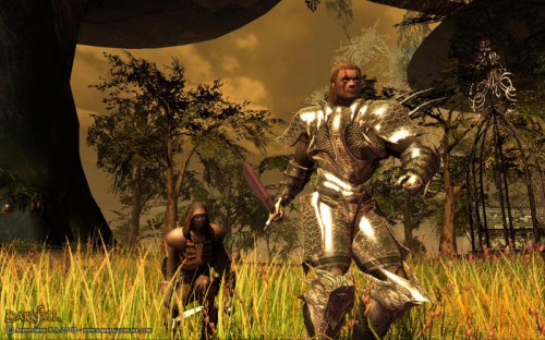 Darkfall Online: Alignment